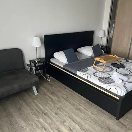 Grand - Entree Autonome - Internet Apartment *